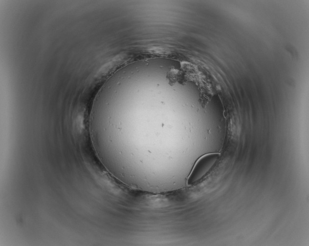 X0000112730424200909031449