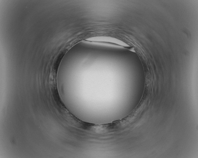 X0000112730425200909031449