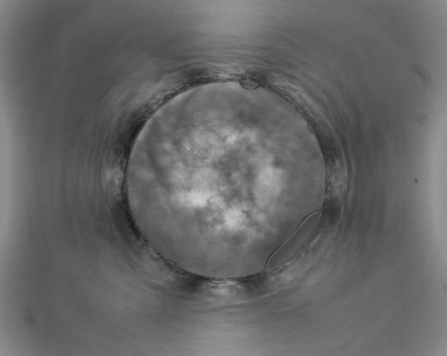 X0000112730427200909031449