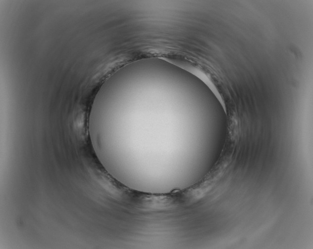 X0000112730428200909031449