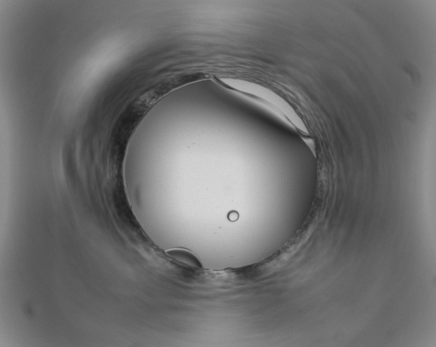 X0000112730429200909031449