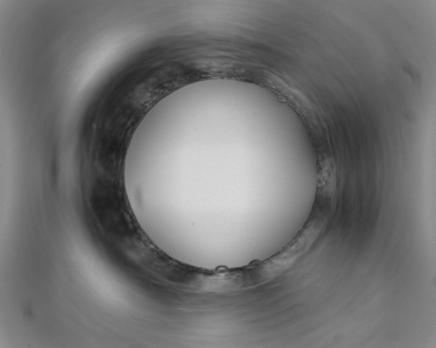 X0000112730430200909031449