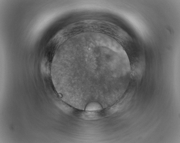 X0000112730431200909031449