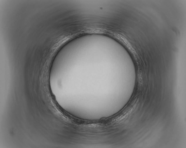 X0000112730433200909031448