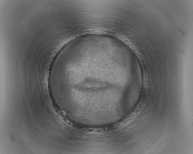 X0000112730434200909031448