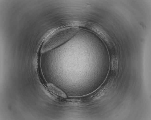 X0000112730436200909031448