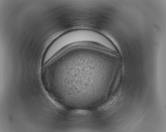 X0000112730437200909031448