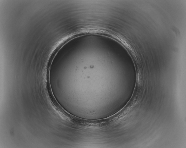 X0000112730438200909031448