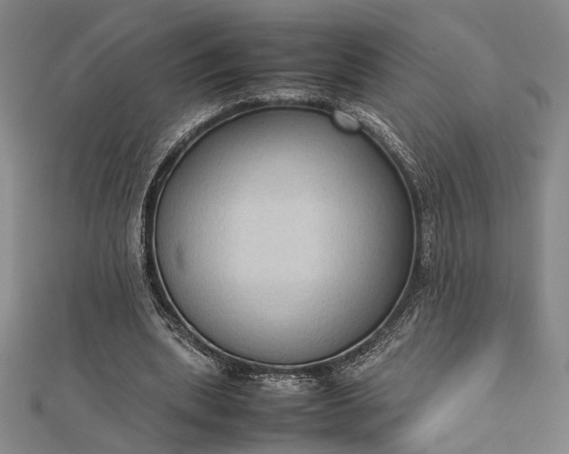 X0000112730439200909031448