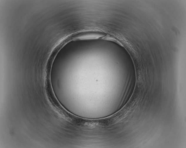 X0000112730440200909031448