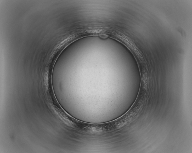 X0000112730442200909031448