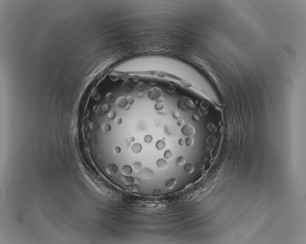 X0000112730443200909031448