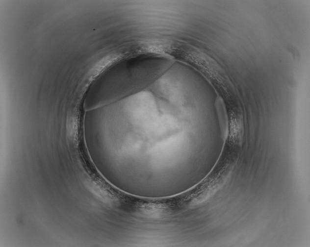 X0000112730444200909031448