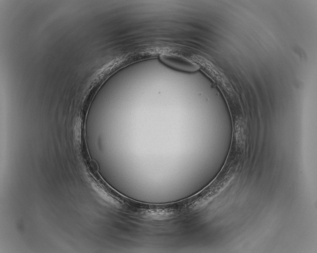 X0000112730445200909031448