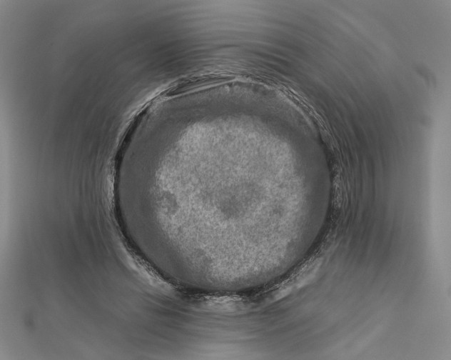 X0000112730446200909031448