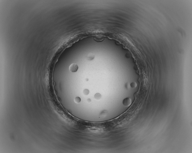 X0000112730447200909031448