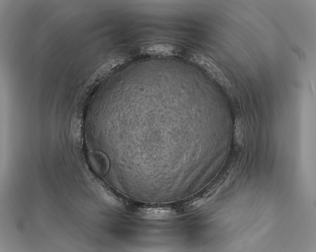 X0000112730449200909031448