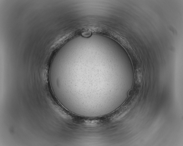 X0000112730450200909031448