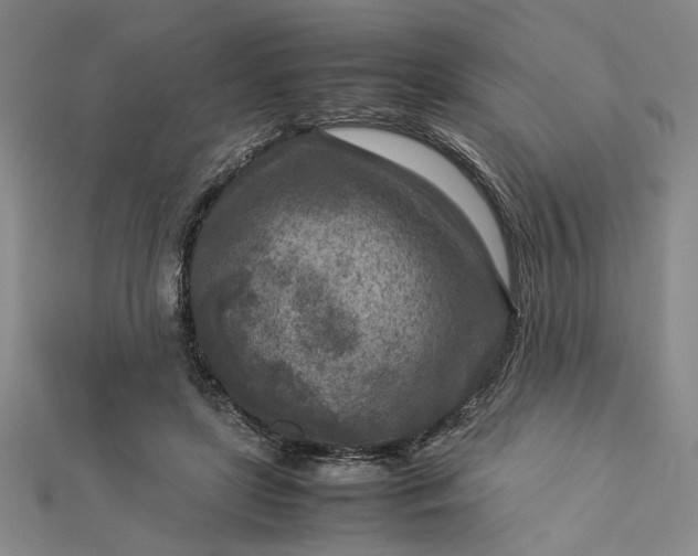 X0000112730451200909031448