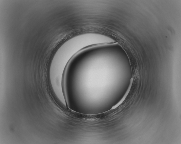 X0000112730452200909031448