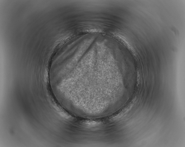 X0000112730453200909031448