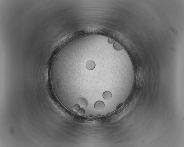 X0000112730454200909031448