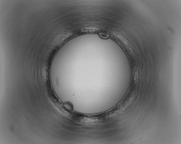 X0000112730455200909031448