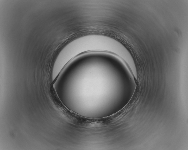 X0000112730456200909031448