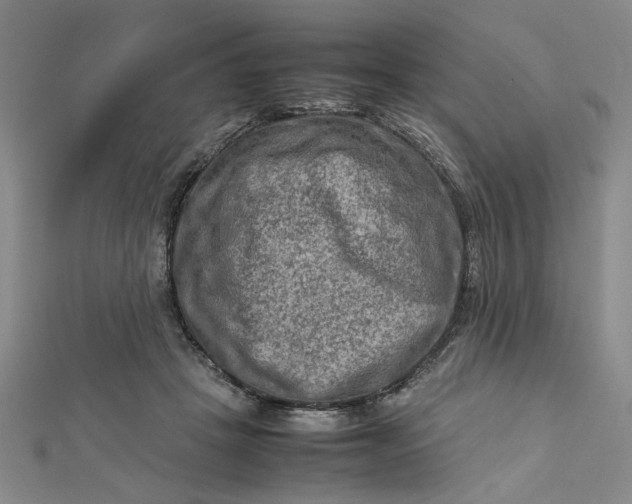 X0000112730457200909031448