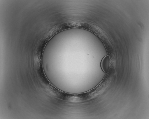 X0000112730460200909031448