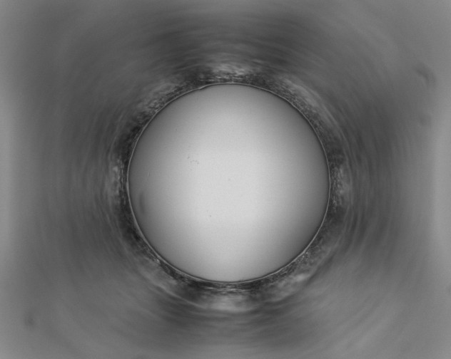 X0000112730463200909031448