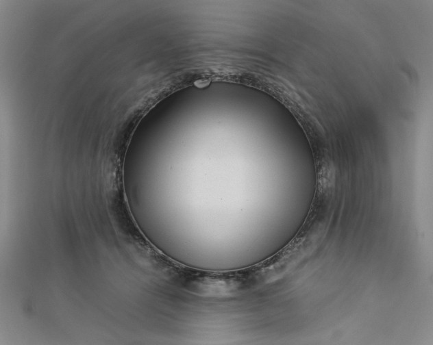 X0000112730464200909031448