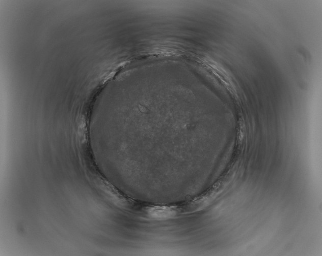 X0000112730465200909031448