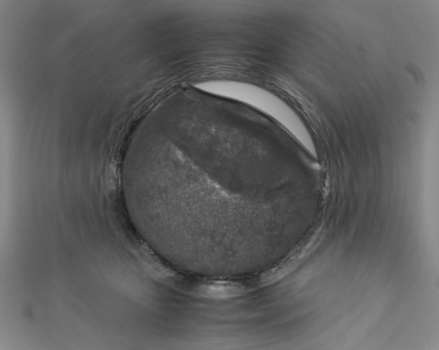 X0000112730467200909031448