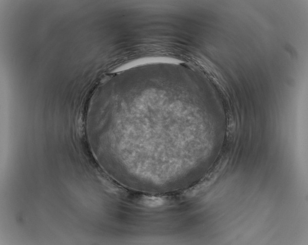 X0000112730469200909031448