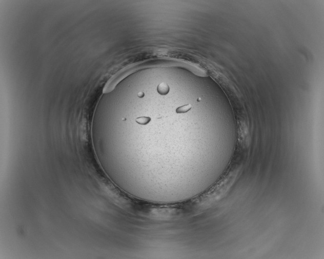 X0000112730470200909031448