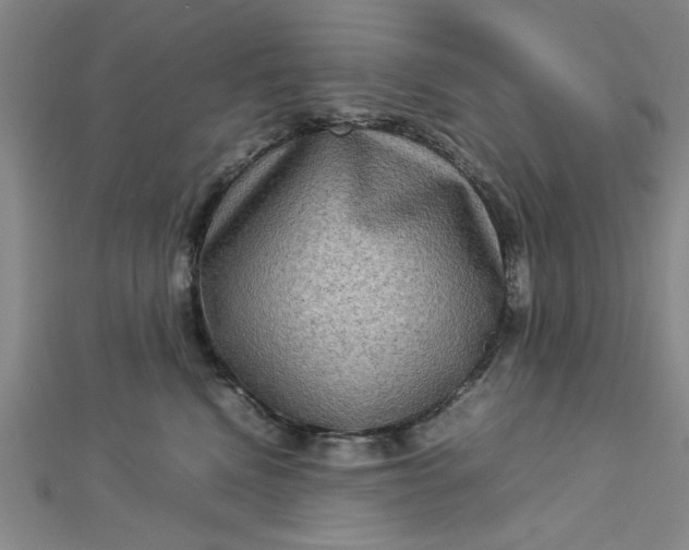 X0000112730472200909031448