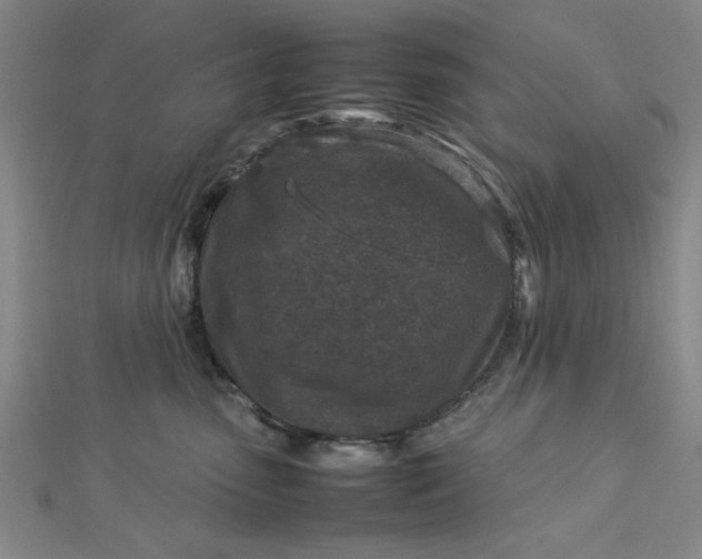 X0000112730475200909031448