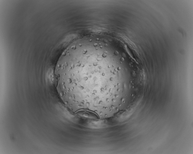 X0000112730479200909031448