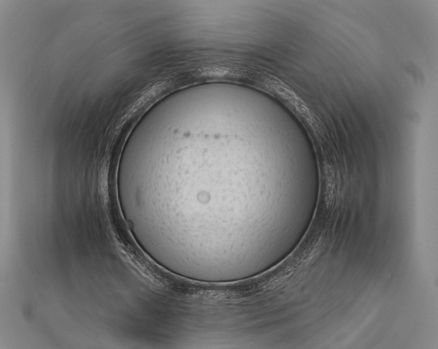 X0000112730482200909031448