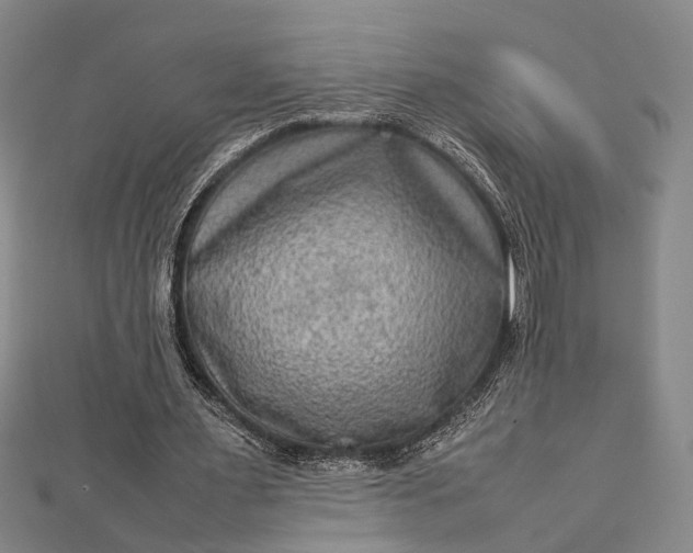 X0000112730483200909031448