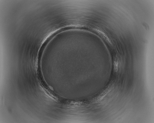 X0000112730484200909031448