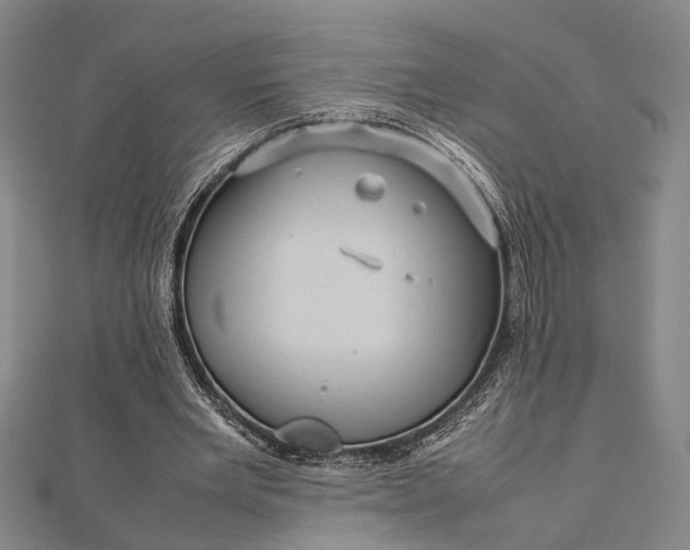 X0000112730485200909031448