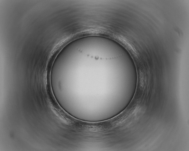 X0000112730486200909031448