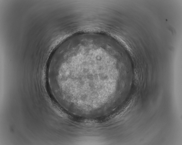 X0000112730487200909031448