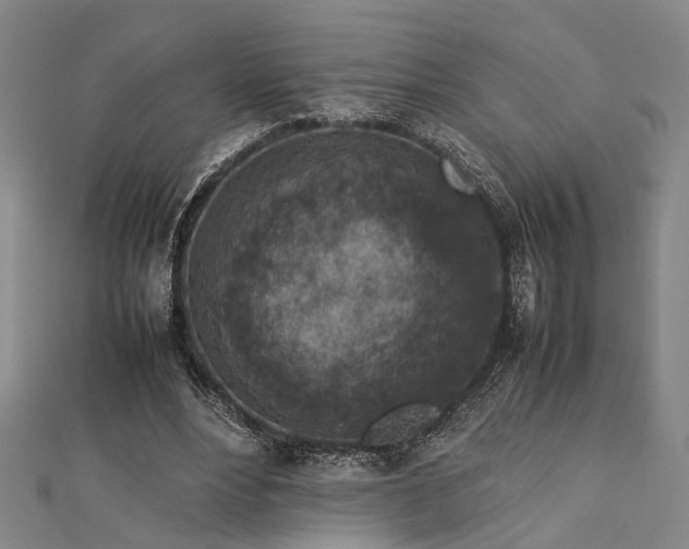 X0000112730488200909031448