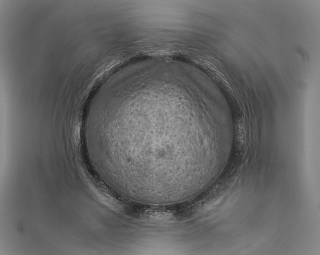 X0000112730491200909031448