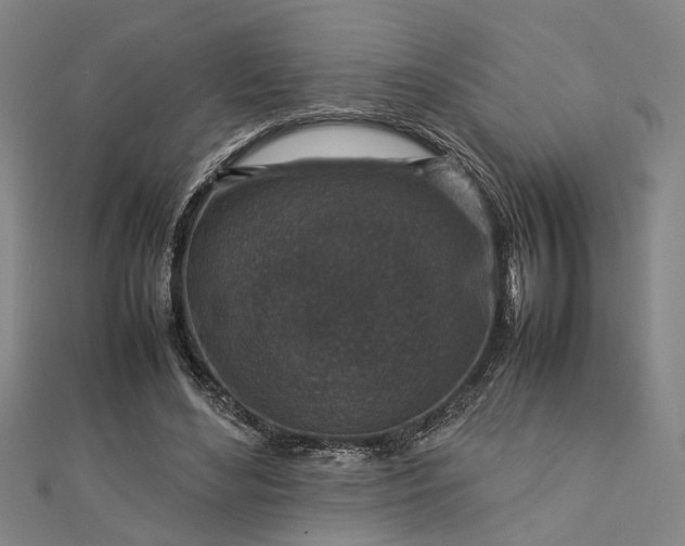 X0000112730492200909031448