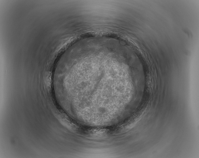 X0000112730495200909031448