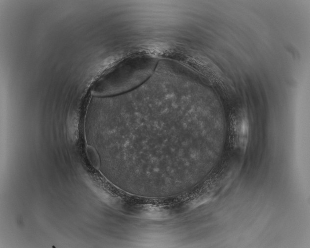 X0000112730496200909031448